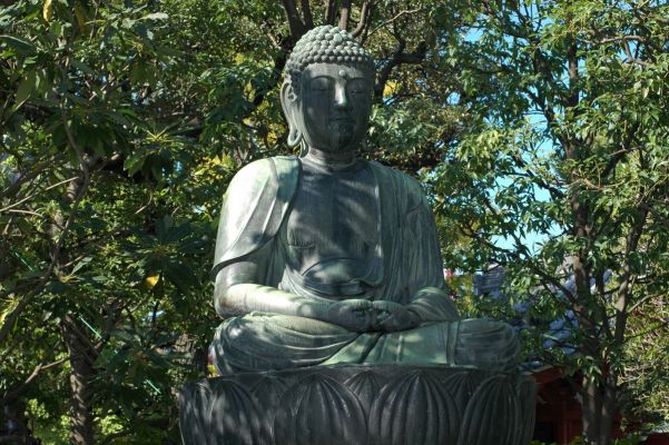 Cliquez pour voir l'image en taille réelle